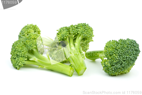 Image of Three broccoli pieces