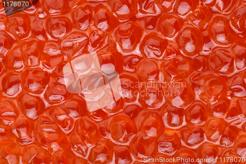 Image of Red salmon caviar