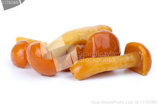 Image of Close-up shot of some marinated honey agarics