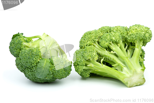Image of Two broccoli pieces