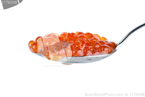 Image of Small metal spoon filled with salmon caviar