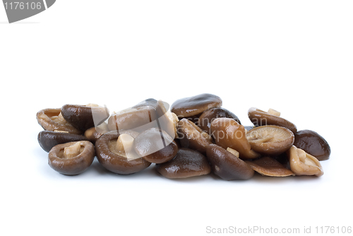 Image of Some marinated black milk mushrooms