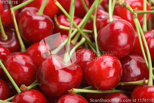 Image of Red cherries