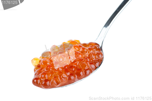 Image of Small metal spoon filled with red salmon caviar