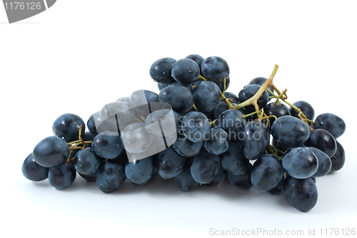 Image of Bunch of blue grapes