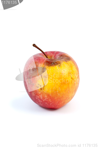 Image of Slightly rotten apple