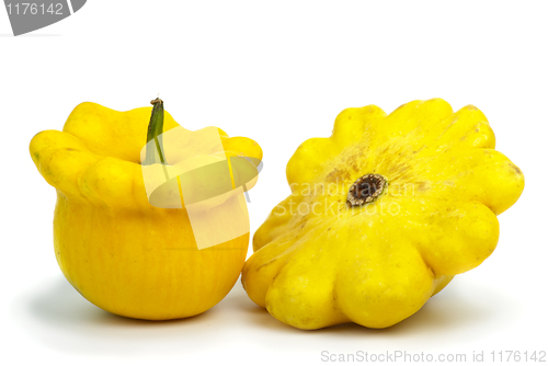 Image of Two scallop squash vegetables