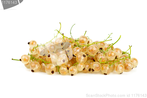 Image of Pile of golden currants