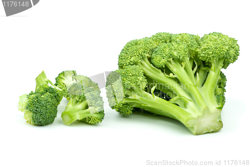 Image of One big and few small broccoli pieces