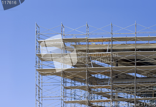 Image of Scaffold 1