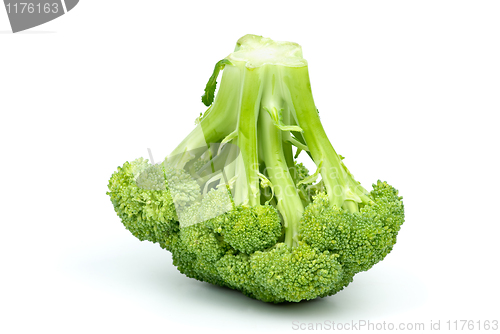 Image of Broccoli 