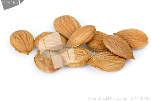 Image of Close-up shot of some sweet apricot pits