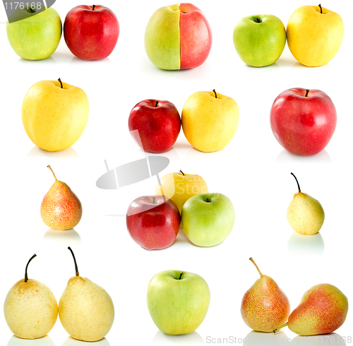 Image of Set of different apples and pears