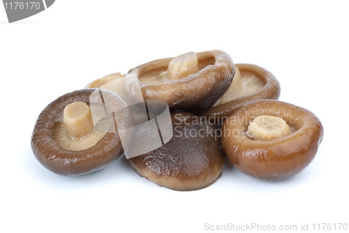 Image of Close-up shot of some marinated black milk mushrooms