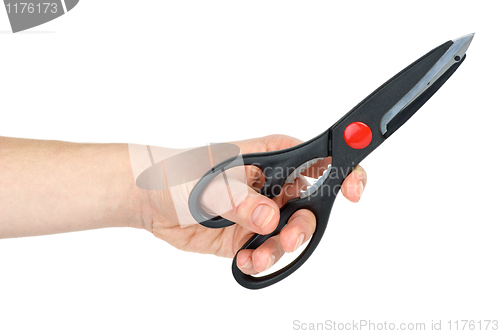 Image of Kitchen scissors in hand 