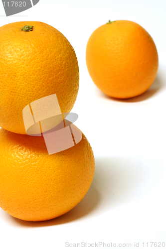 Image of Oranges 6