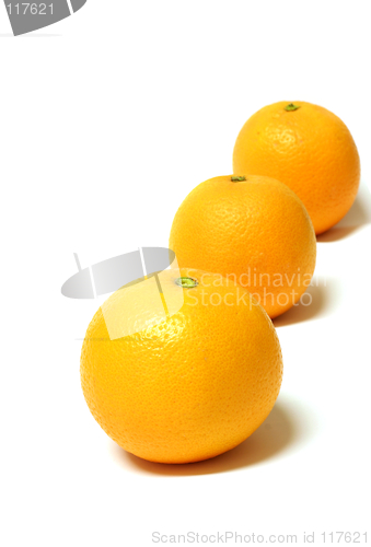 Image of Oranges 7