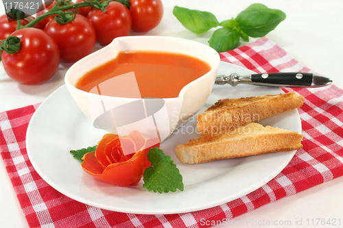 Image of Tomato Cream Soup