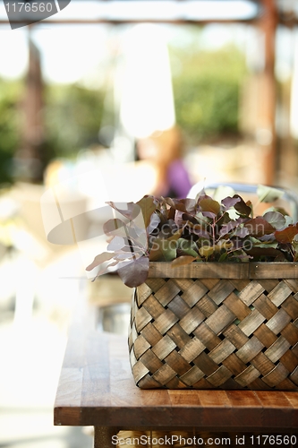 Image of Flowers in cart