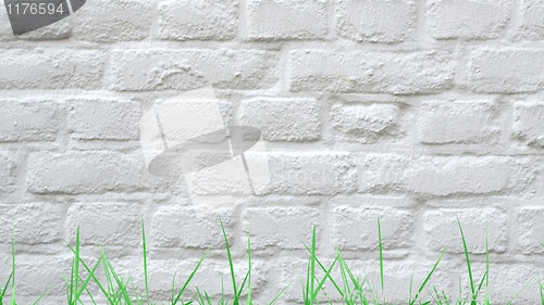 Image of Grass and wall