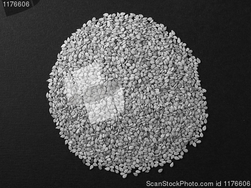 Image of Sesame seeds