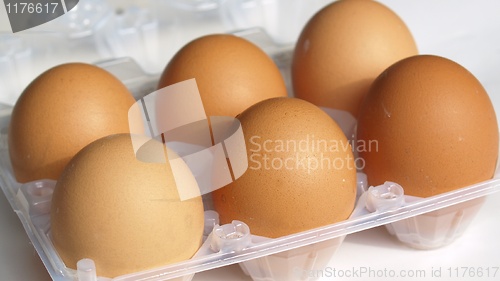 Image of Eggs