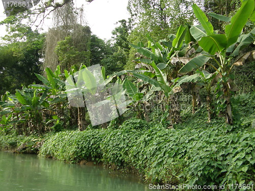 Image of Bamboo Rafting