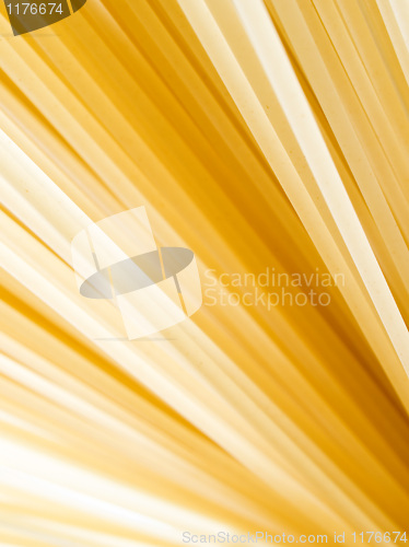 Image of Pasta closeup background.