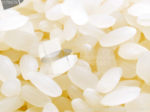 Image of Rice.