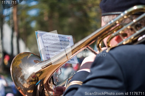 Image of Musician