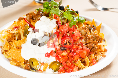 Image of fresh nachos and vegetable salad with meat