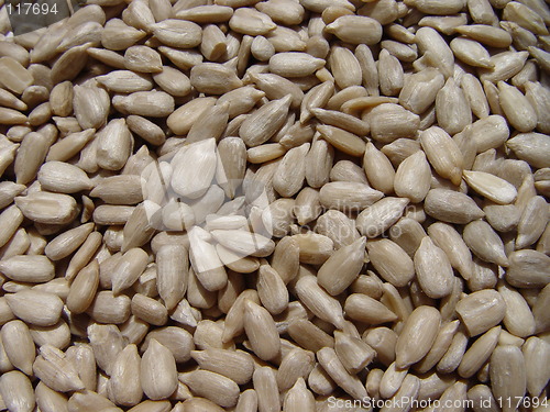 Image of sunflower seeds