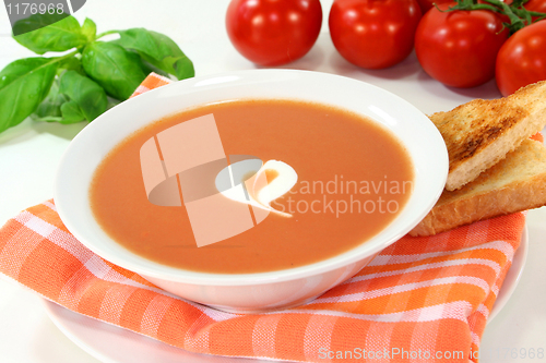 Image of Tomato Cream Soup