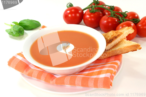 Image of Tomato Cream Soup