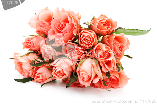 Image of pink roses