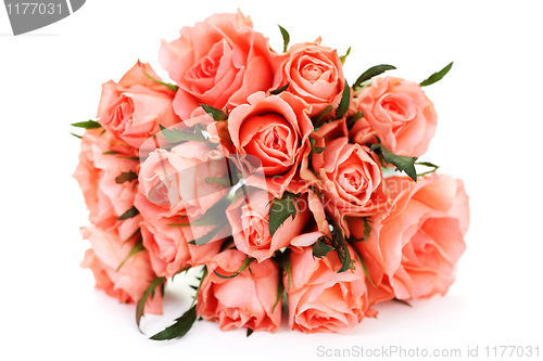 Image of pink roses