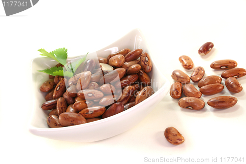 Image of Pinto beans