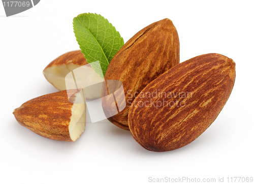 Image of Almonds kernel with leaves