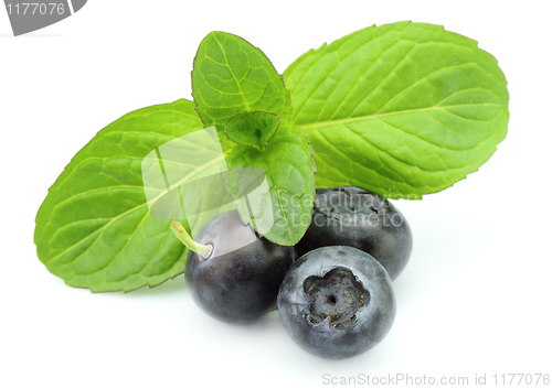 Image of Blueberry with mint
