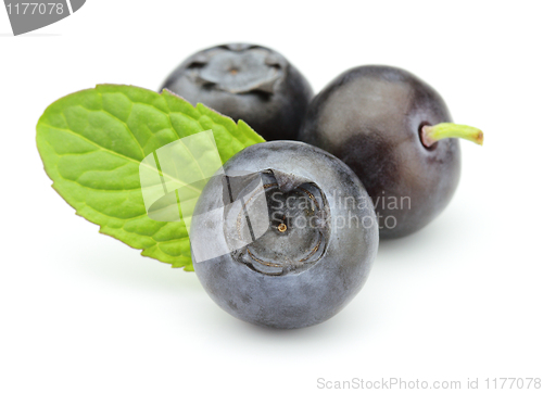 Image of Blueberry with mint