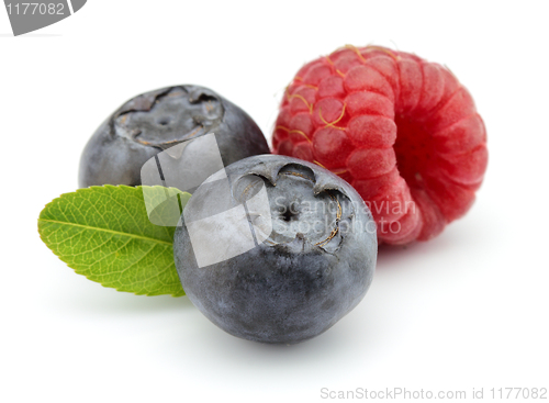 Image of Blueberry with raspberry