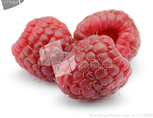 Image of Fresh raspberry