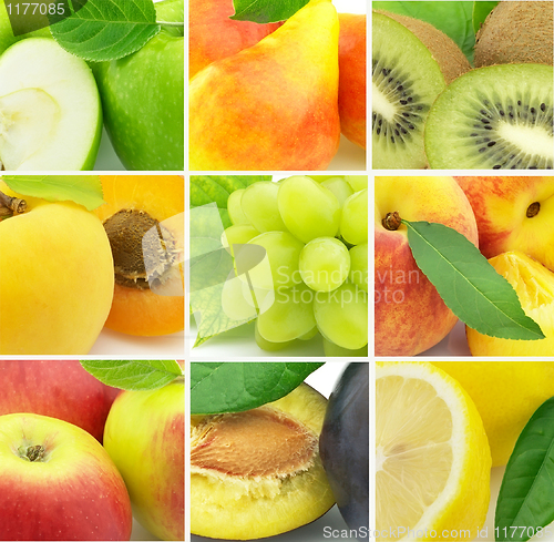 Image of Collage from fresh fruit