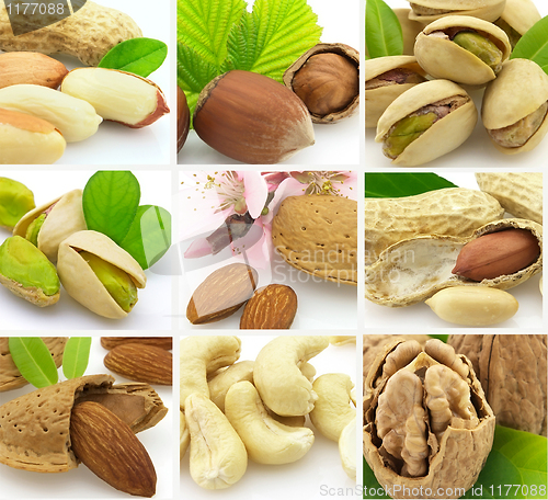 Image of Collage from tasty nuts