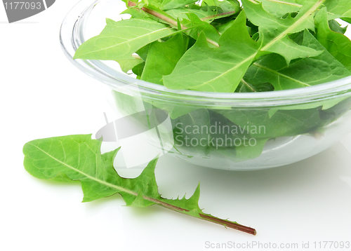 Image of Dandelions salad
