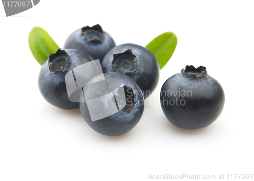 Image of Blueberry with leaves