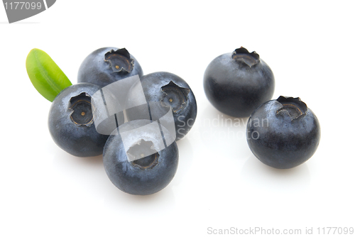 Image of Sweet blueberry