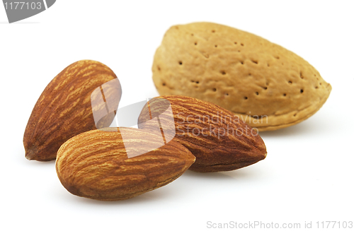 Image of Dried almonds