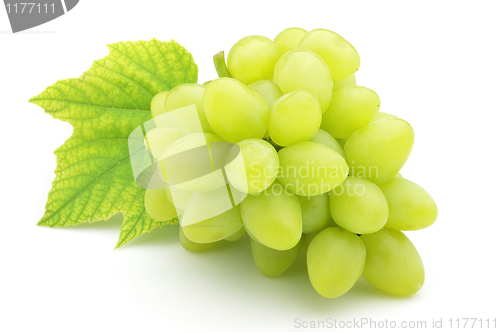 Image of Ripe grapes with leaves