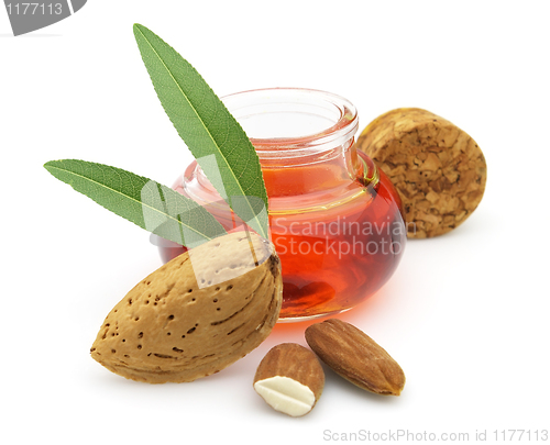 Image of Fresh almonds oil